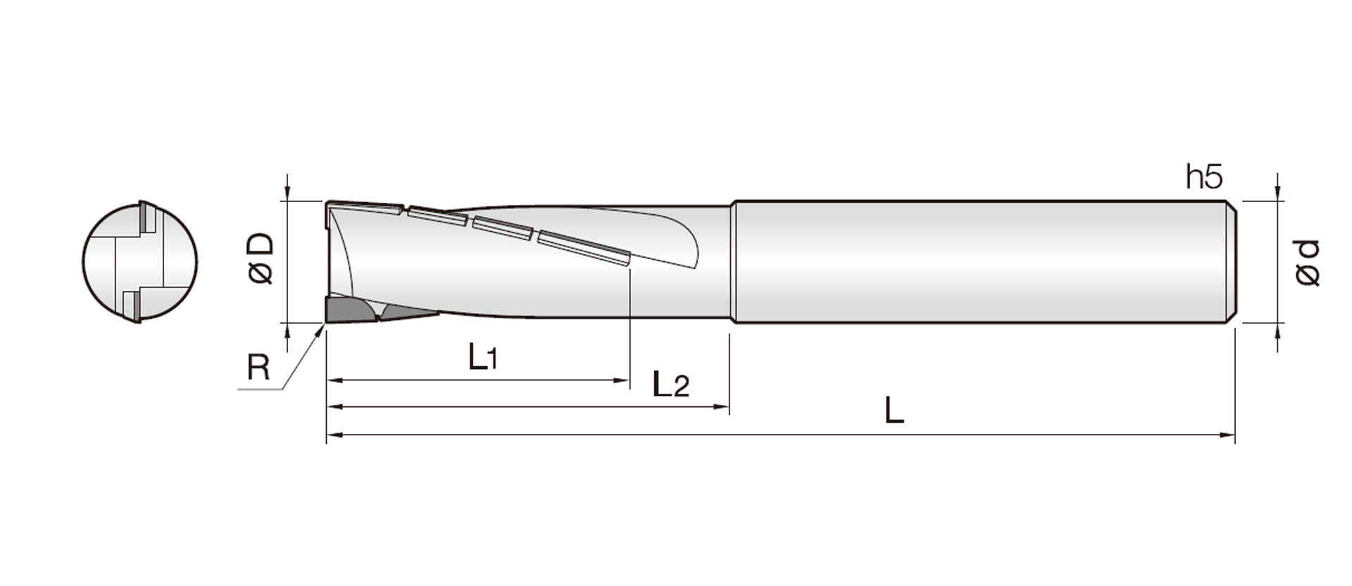 2~3RPCD (PCD 라핑 엔드밀)